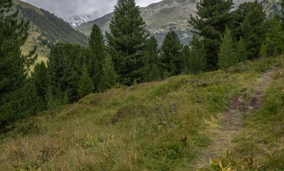 Nationalpark-Panoramaweg