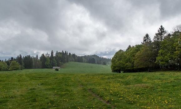 Chemin du Jura bernois