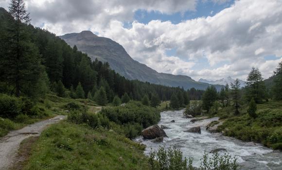 Via Albula/Bernina