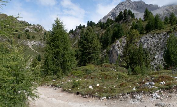 Nationalpark Bike-Marathon