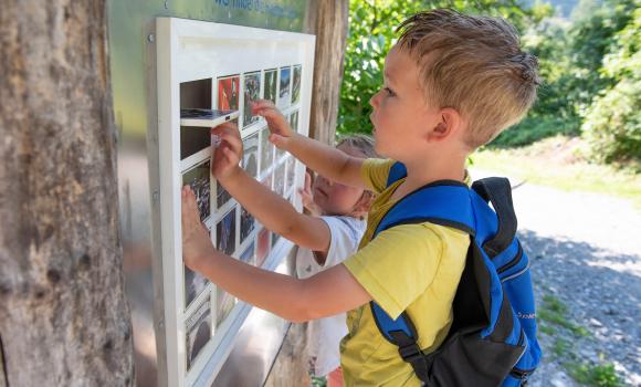 Il sentiero ludico ed educativo della Regione di Glarona