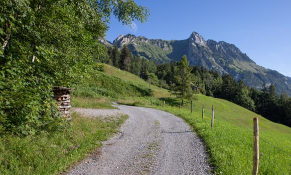 Wildmannli Bike, Tappa 2/3