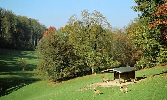 Parco faunistico di Roggenhausen