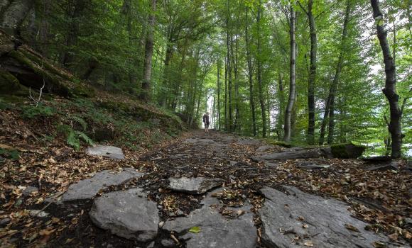 Via Alpina, Tappa 2/20