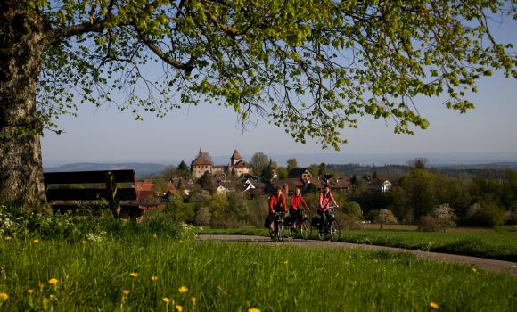 La città delle biciclette