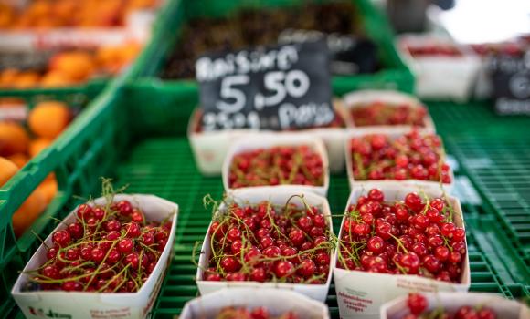 Carouge - acquisti al mercato settimanale