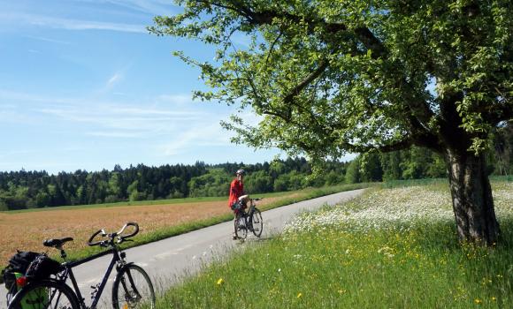 Emmental–Entlebuch