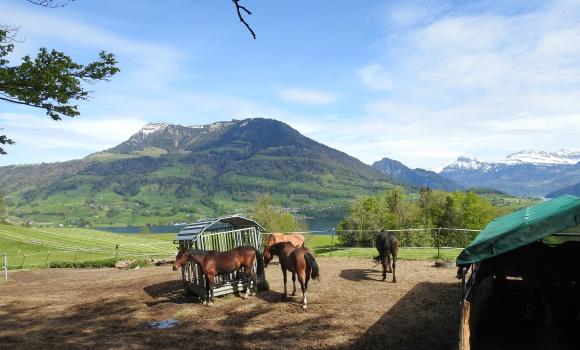 Luzerner Hinterland–Rigi, Tappa 3/3