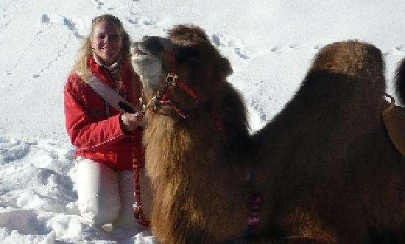 Un tour invernale sulla nave del deserto - Cammelli