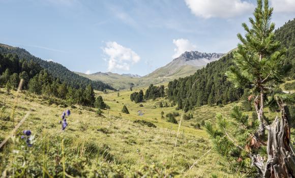 Jakobsweg Graubünden