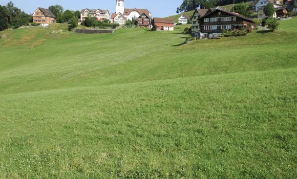 Kulinarische Appenzeller Route