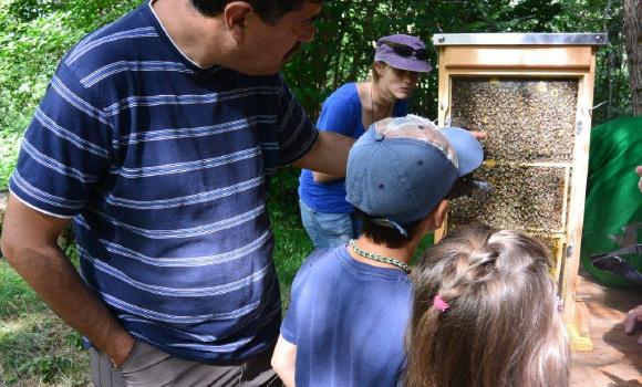 Alla scoperta delle api con l’apicoltore