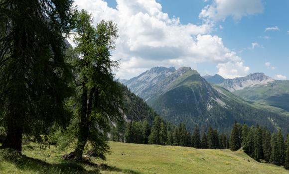 Schiesshorn-Weg