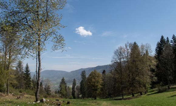 Chemin du Jura bernois