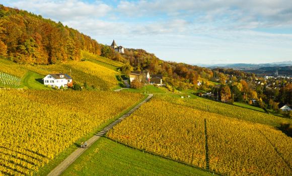 Ostschweizer Wein-Route, Tappa 2/2