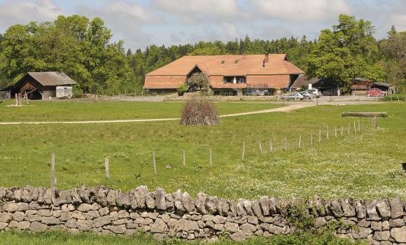 Visita alla métairie a Parco del Doubs