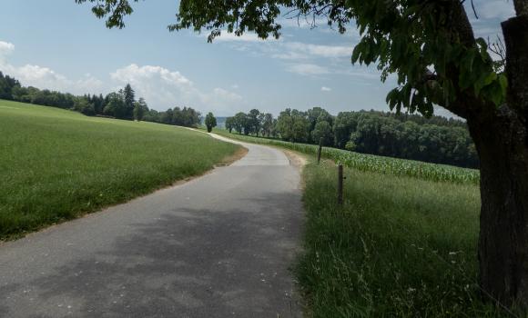 La Broye–La Gruyère