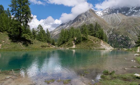 Sentiero dei passi alpini