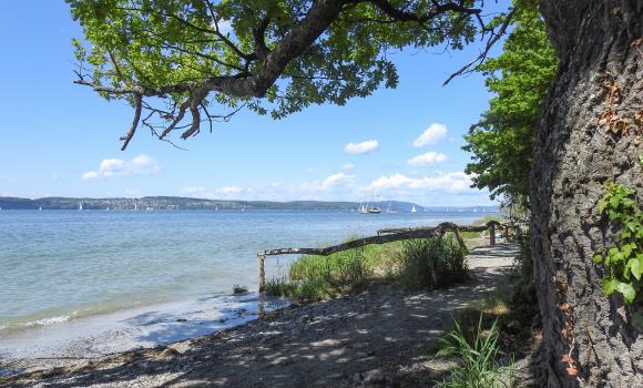 Bodensee-Radweg, Tappa 2/8