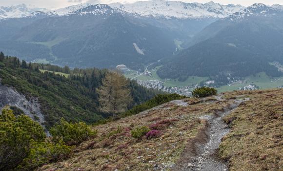 Jakobsweg Graubünden, Tappa 11/19