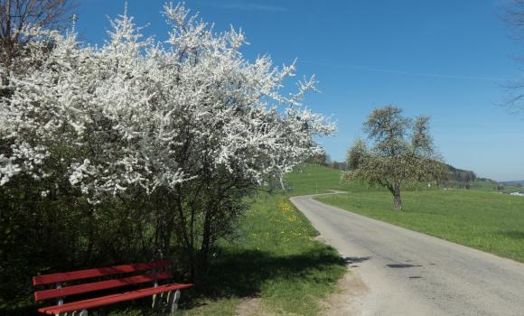 Percorso dell’Altopiano