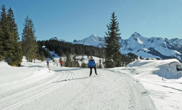 Paradiso dello sci di fondo in un parco naturale