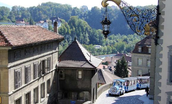 Giro della città: Visita della città con il trenino.