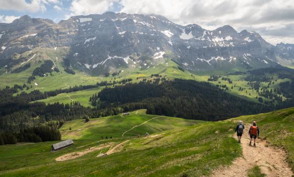 Sentiero alpino panoramico 