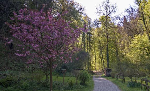 Tour du Vallon des Vaux