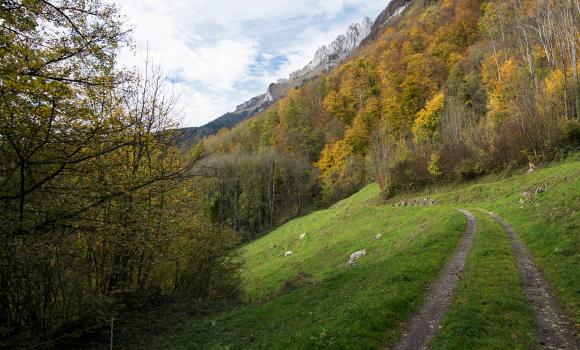 Rheintaler Höhenweg, Tappa 4/6
