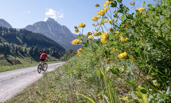 Alpine Bike, Tappa 15/16