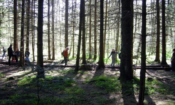 Sentiero di scoperta della foresta