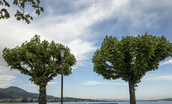 Zürichsee-Rundweg, Tappa 5/10