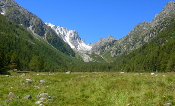 La traversata del colle del Gran San Bernardo