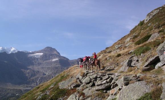 Trekking a dorso di mulo - Un divertimento per tutti