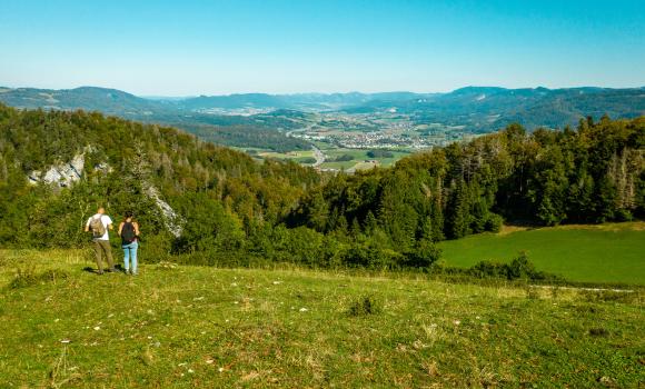 Chemin du Jura