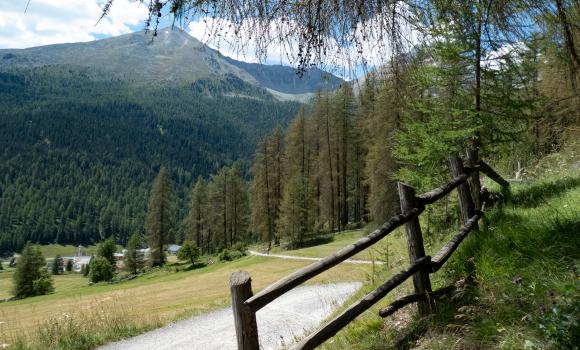Jakobsweg Graubünden, Tappa 1/19