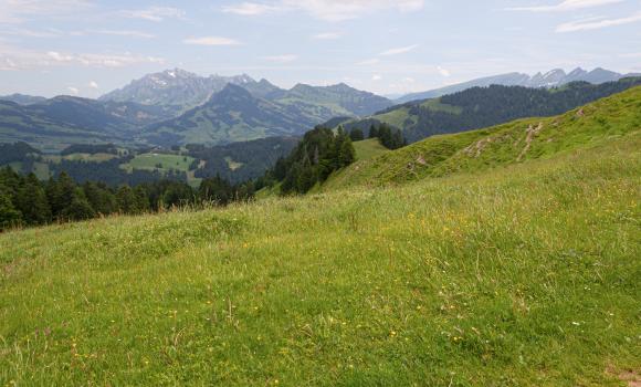 Toggenburger Höhenweg