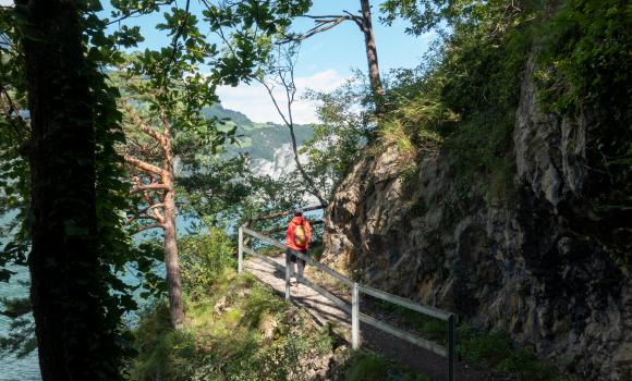 Weg der Schweiz