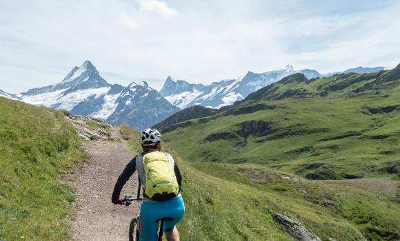 Alpine Bike