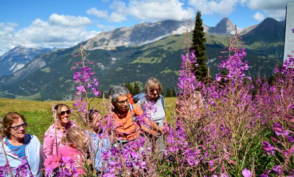 Escursione sulle erbe aromatiche a Surses