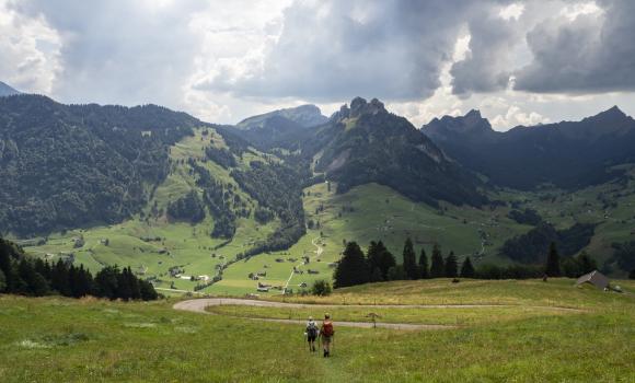 Sentiero alpino panoramico 