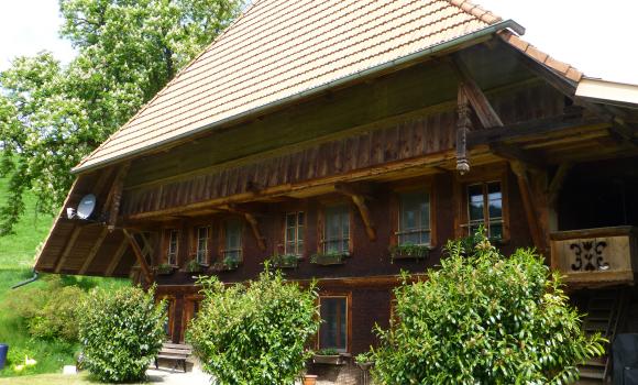 Ospiti nel giardino della Emmental