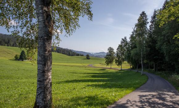 Zürich–Einsiedeln Bike