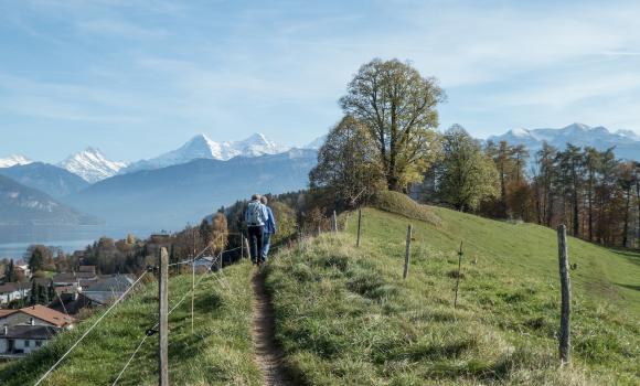 Panorama Rundweg Thunersee