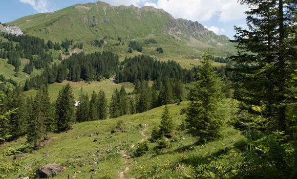 Nidwaldner Höhenweg, Tappa 4/6