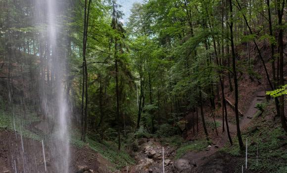 Brienzersee Drei Wasserfälleweg