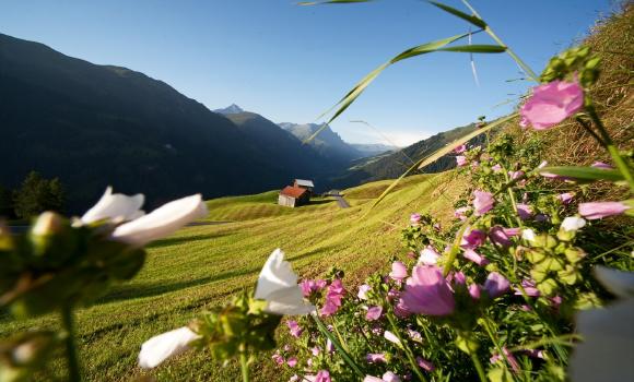 Il sentiero delle saghe della Safiental