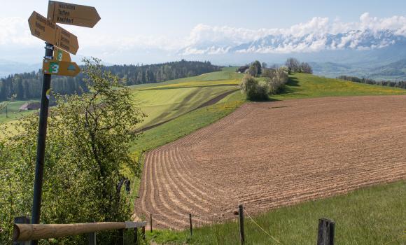 Sentiero alpino panoramico 