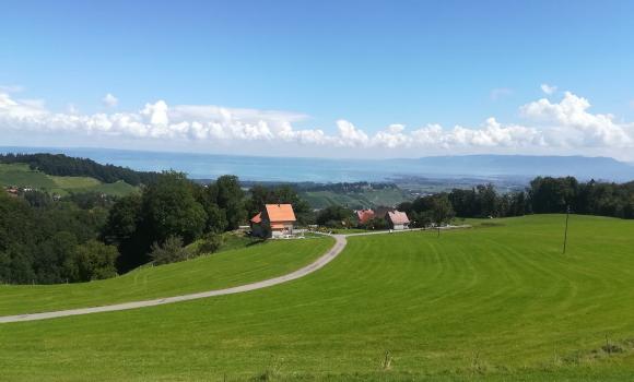 Stellplatz Schöner Ausblick